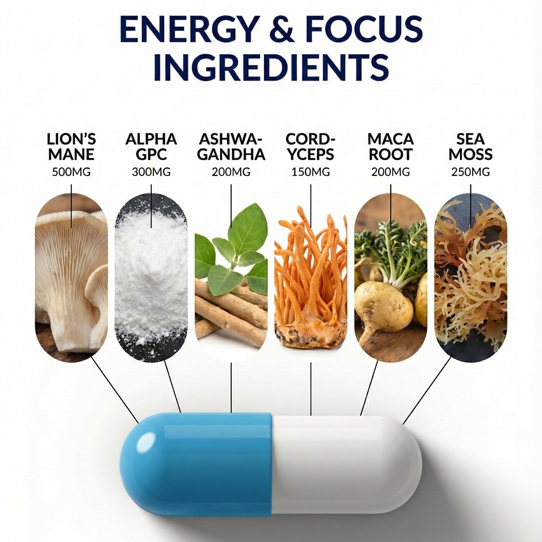 Energy & Focus Compound