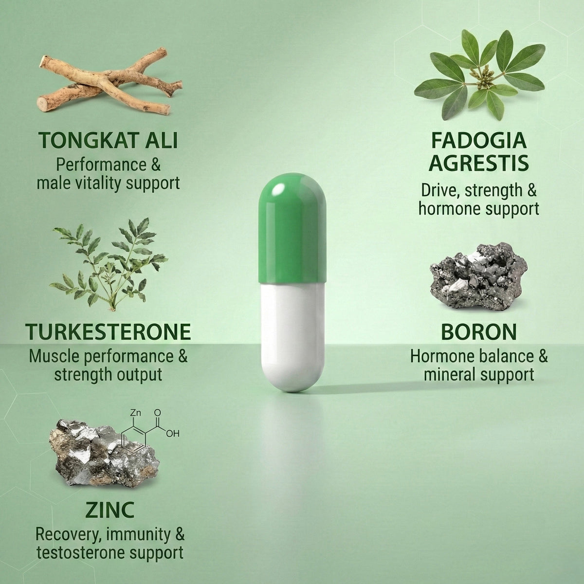 THE ALPHA STACK (5 in 1) Formula